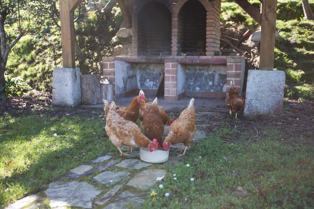 Casa Rural Andutza Ea Zewnętrze zdjęcie
